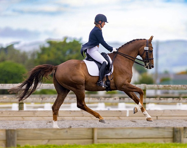 Kallista Field on Felix Westfalia FE (by Franziskus)