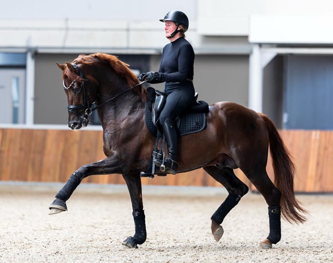 Owner Saskia van Musscher and Tesla :: Photo © Equigeniek