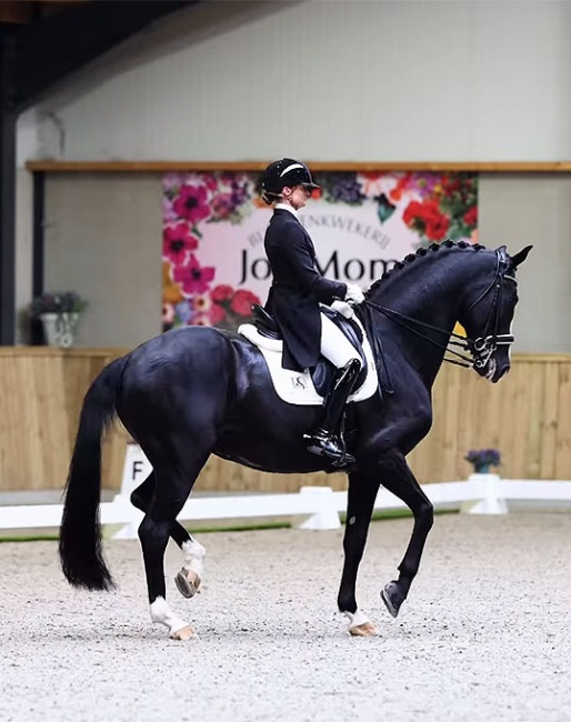 Marieke van der Putten and Jameson in the Intermediaire II at the 2026 CDN Lathum :: Photo © Equigeniek
