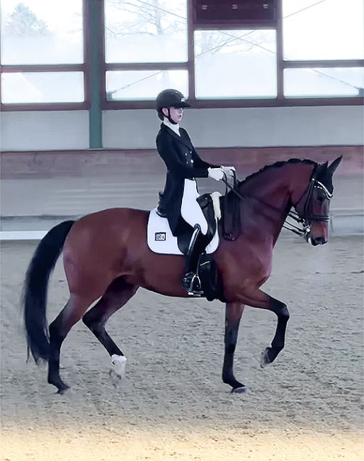 Lucie-Anouk Baumgürtel and First Vienna at the 2026 Piaff Forderpreis selection trial in Warendorf