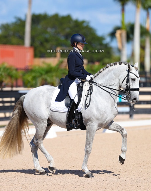 Lisa Wilcox and Niquel CAP in the national Grand Prix at the 2026 Global Dressage Festival :: Photo © Astrid Appels