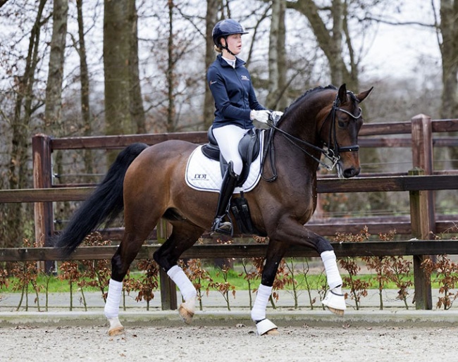 Next Romance (by For Romance x Havel)