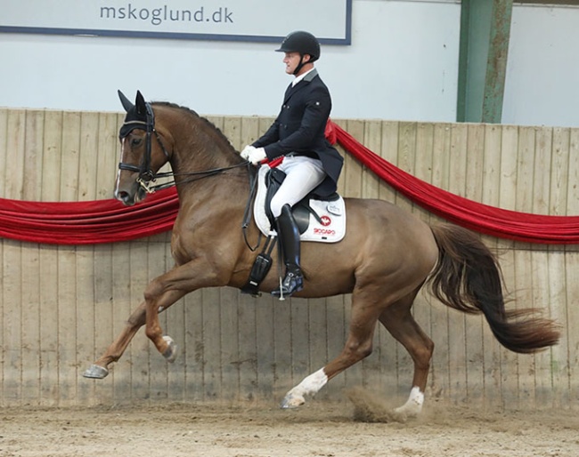 Kristinelyst Bon Fox :: Photos © Wiegaarden