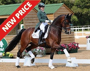 Farell (by Fabregas x Davignon)