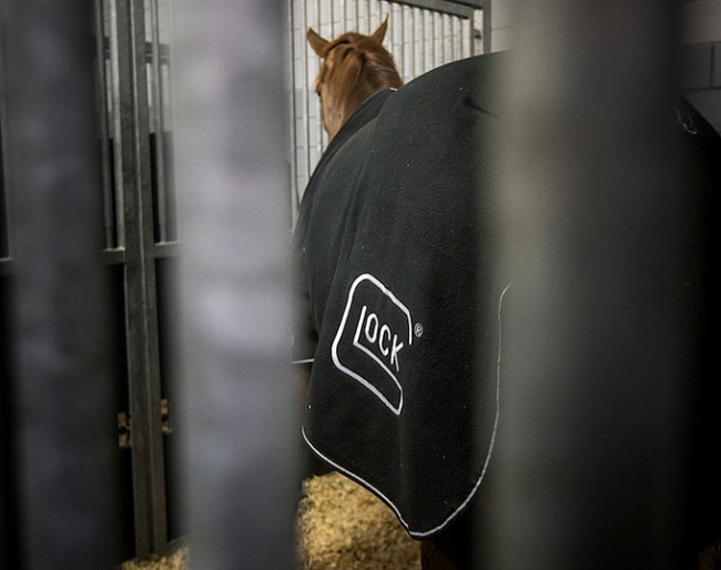 Glock's Flirt at Schiphol airport ready to be flown to the 2015 World Cup Finals :: Photo © Dirk Caremans