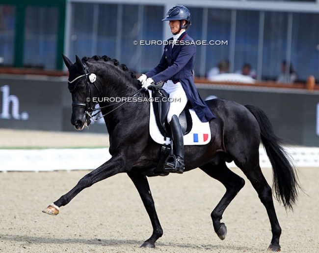 Maxime Collard and Cupido PB at the 2021 European Championships in Hagen :: Photo © Astrid Appels