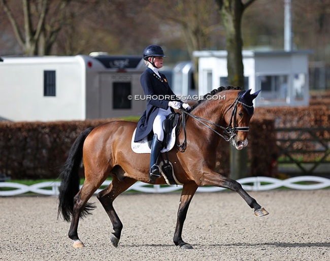 Zoe Kuintjes and Cupido at the 2023 CDI Aachen Festival 4 Dressage :: Photo © Astrid Appels