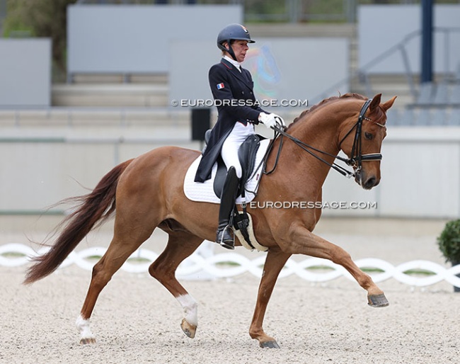 Stephanie Brieussel and Fellini du Soleil at the 2024 CDI Aachen Festival 4 Dressage :: Photo © Astrid Appels