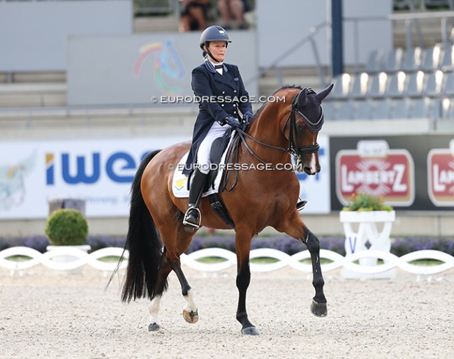 Gabriele Kiefer and Ophelia competing in the legendary dressage stadium in Aachen :: Photo © Astrid Appels