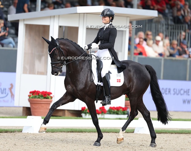 Susanne Barnow and EQ Secret Suprise at the 2025 World Young Horse Championships :: Photo © Astrid Appels