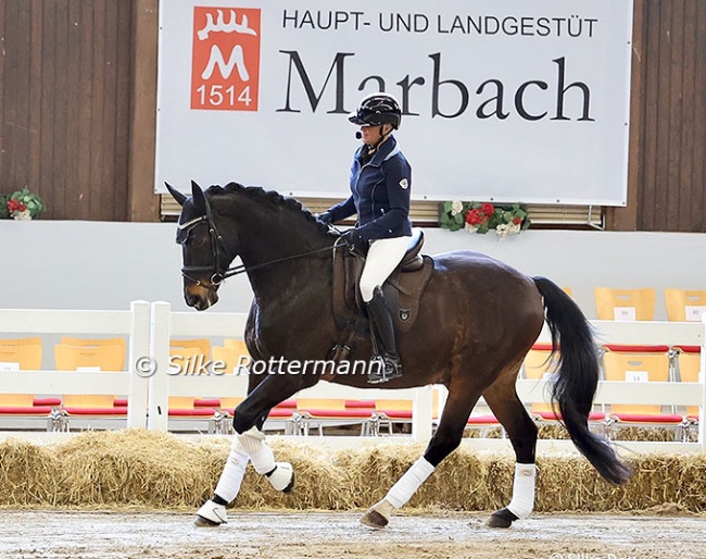 Xenophon Celebrates 20th Anniversary with Seminar, featuring Uta Gräf, Stefan Schneider and Martin Plewa :: Photos © Silke Rottermann