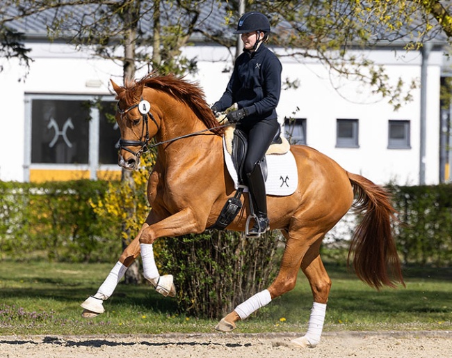 Sony (by Secret x Quaterback)