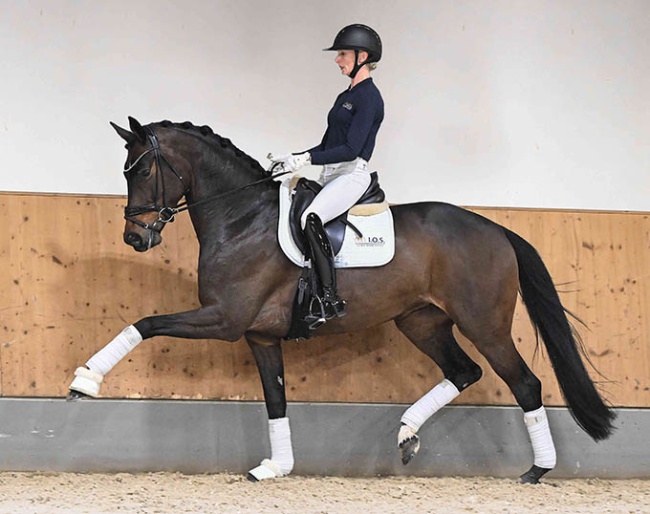 Venedig (by V-Plus x Scolari)