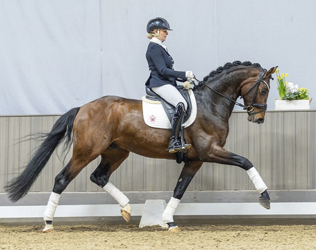 Bentheim (by Belvedere x Rock Forever) :: Photo © Recki