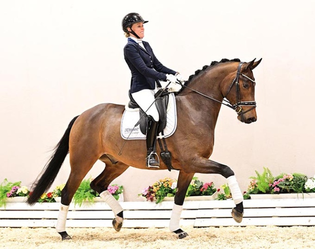 Bonaparte (by Bon Vivaldi x Harvard)