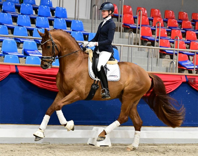 Val D'Aran at the Oldenburg Horse Center in Vechta