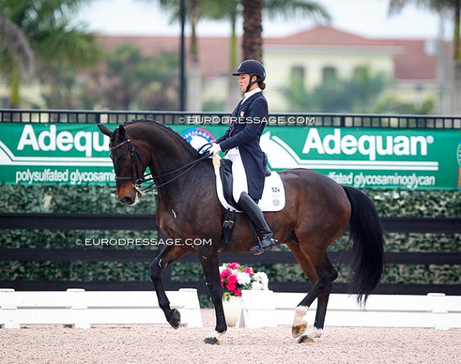Adrienne Lyle and Wizard at the 2014 CDI Wellington :: Photo © Astrid Appels