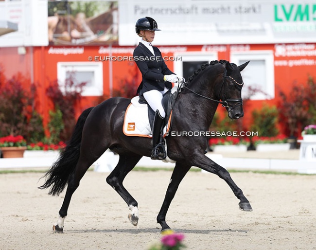 Kirsten Brouwer and Ohio at the 2025 World Young Horse Championships :: Photo © Astrid Appels