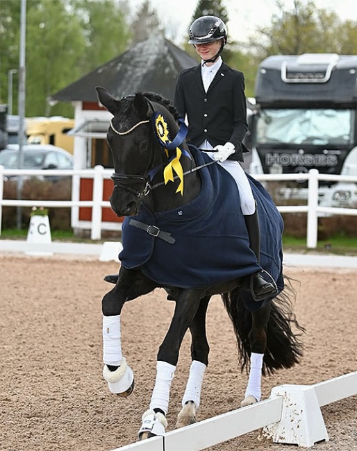 Viggo Bornhager on Rosenstolz at the 2026 Swedish Dressage Championships :: Photo © Joakim Bornhager