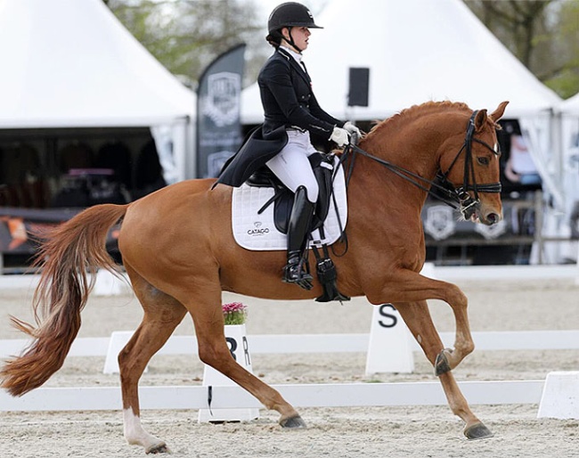 Lea Torabi on Jivago de Massa at the 2026 CDI Tolbert :: Photo © Digishots