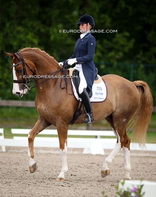 Emelie Brolin and Briman at the 2014 CDI Kapellen :: Photo © Astrid Appels