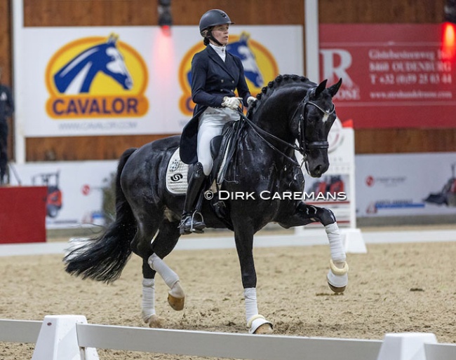 Kil Koolen and For Ferrero at the 2023 Belgian Warmblood Stallion Licensing show :: Photo © Dirk Caremans