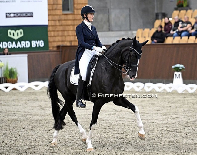 Karin Nissen and Scaglietti V competing in Randbol in 2023 :: Photo © Ridehesten
