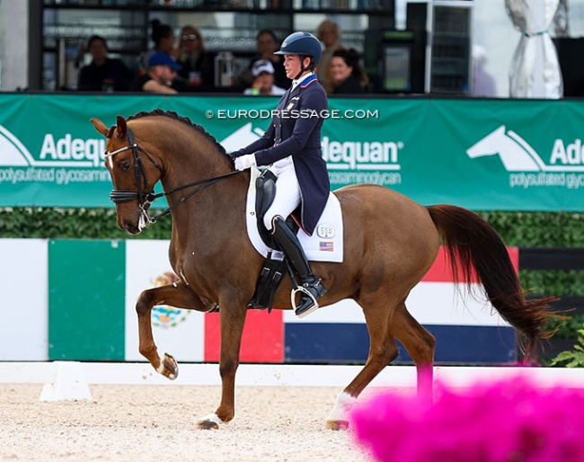 Anna Marek and Fayvel at the 2024 CDI Wellington :: Photo © Astrid Appels