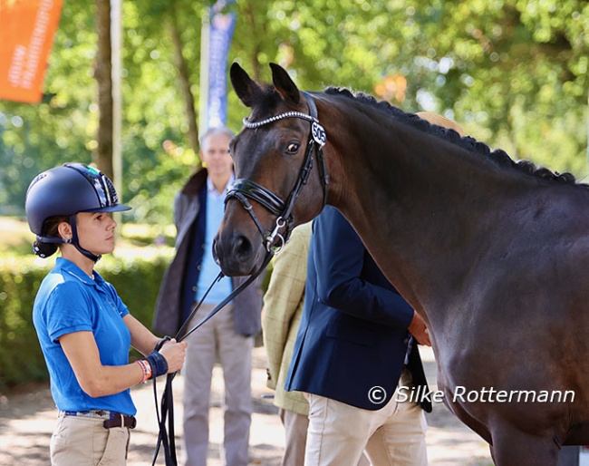 Federica Sileoni and Leonardo at the 2025 European Para Dressage Championships in Ermelo :: Photo © Silke Rottermann