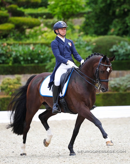 Edoardo Zara and Donatelli at the 2025 European Young Riders Championships :: Photo © Astrid Appels