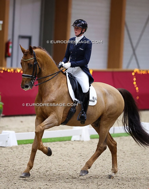 Imke Schellekens-Bartels and Honoré at the 2025 CDI Kronenberg Indoor :: Photo © Astrid Appels