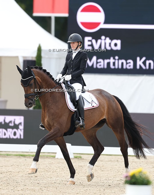 Martina Suppan-Knill on Evita (by Escamillo x Morricone) a tthe 2025 WCYH in Verden :: Photo © Astrid Appels