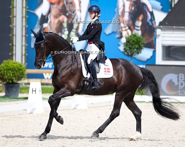 Ida Bøllingtoft Asmussen and Gozzip at the 2026 CDIO Lier :: Photo © Astrid Appels