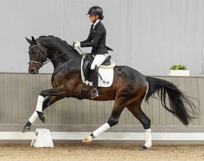 Franc (by Franze x Beltoni) :: Photo © Guido Recki