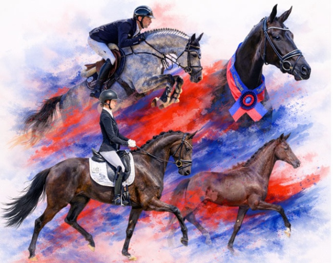 The 2026 Oldenburg Regional Championships with elite mare show and elite foal auction take place in Höven instead of Rastede