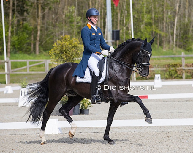 Diederik van Silfhout and Dante US at the 2023 CDI Exloo :: Photo © Digishots