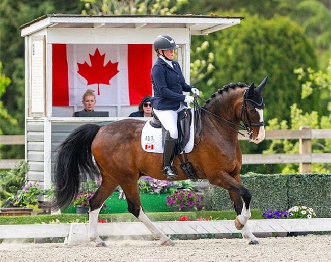 Laura Hall on Istrano at the 2026 CPEDI Vancouver :: Photo © 