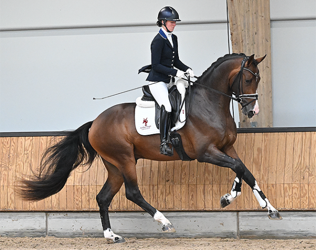 Lord Siffredi :: Photo © Wilma