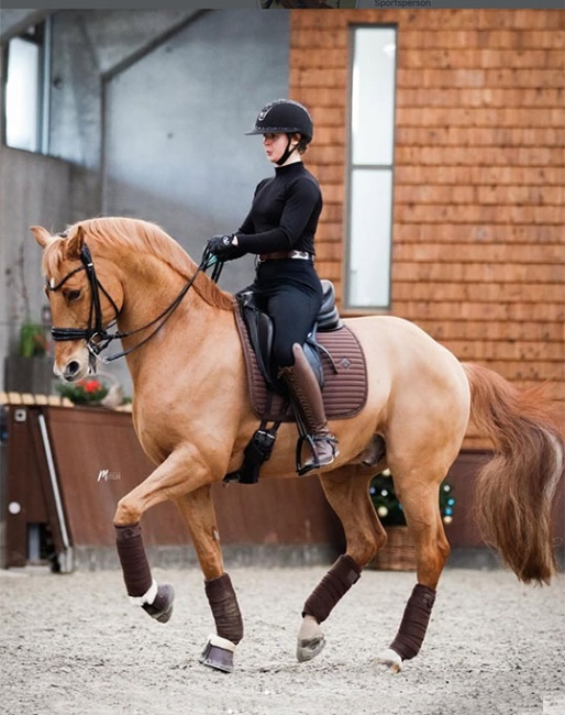 Lea Torabi on Jivago de Massa (by Don Juan de Hus x Moscatel) Photo © Matilde