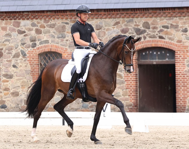 Søbakkehus Miss Malfoy and Joachim Thomsen at the second Danish WCYH selection trial in Vilhelmsborg :: Photo © Ridehesten