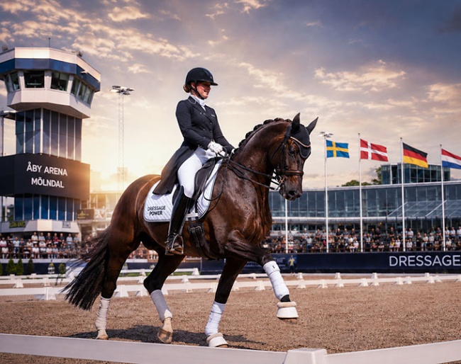 DressagePower International Horse Show 