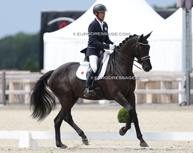 Toshifumi Jō on Elmero at the 2024 CPEDI Hagen :: Photo © Astrid Appels