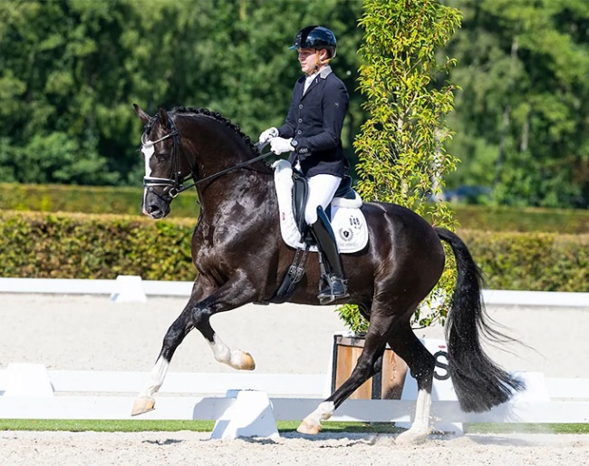 Gerrel Vink and So You Can Dance in the 2026 Pavo Cup Semi Finals :: Photo © Digishots