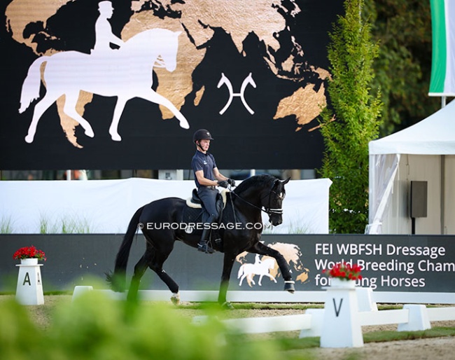 Jacob Schenk and Lindenberg schooling at the 2026 World Young Horse Championships :: Photo © Astrid Appels
