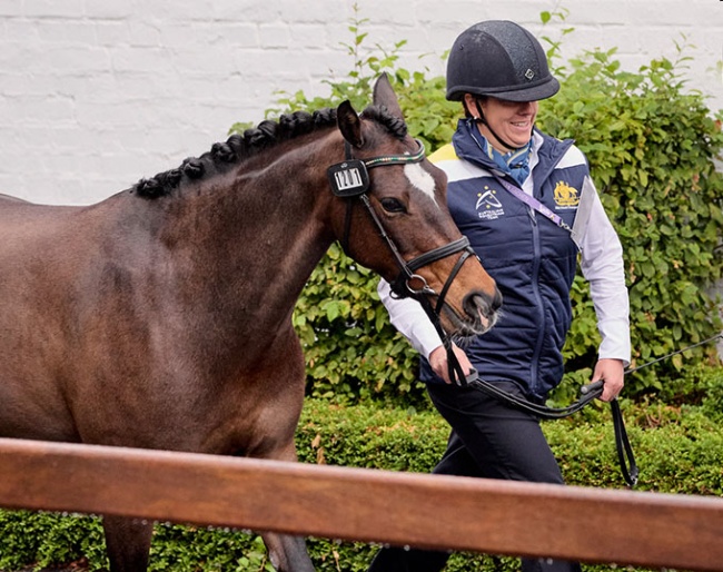 Bridget Murphy's Penmain Promise was successfully trotted up today at the vet inspection before Murphy's withdrawal :: Photo © FEI/Liz Gregg