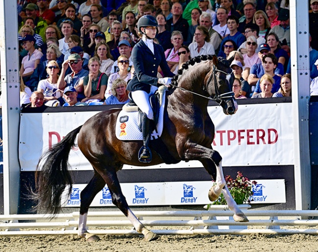 Be My Guest at the 2026 Bundeschampionate :: Photo © Equitaris