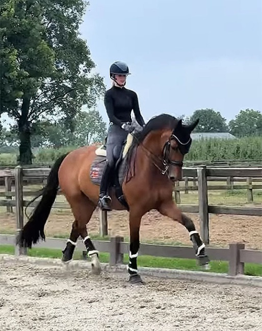 Pem Verbeek and Escadeur schooling at home :: Photo © private