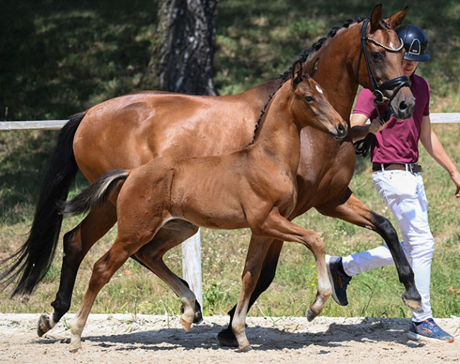 Dream For Life (by Dream Boy x Veneziano) :: Photo © Hubert Fischer
