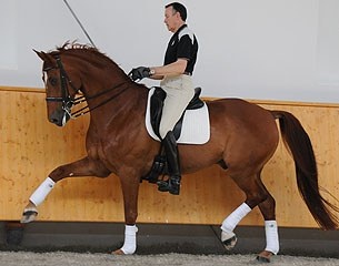 Alain Francois and Dinky Toy at their home yard in Saumur in 2013
