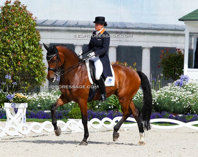 Lotje Schoots and Torricelli at the 2012 CDIO Aachen :: Photo © Astrid Appels